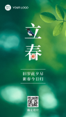 模板缩略图