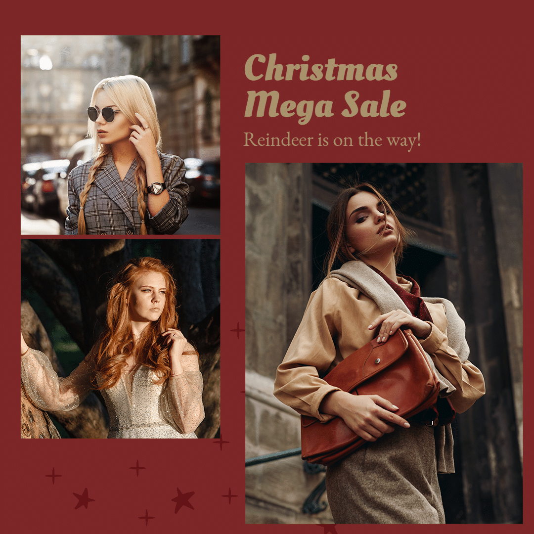 Literary Women's Wear Christmas Sale Ecommerce Product Image预览效果