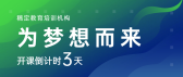 模板缩略图
