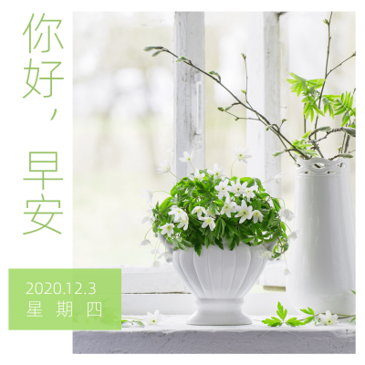 方形日签早安实景静物