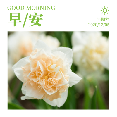 日签早安实景静物清新文艺方形海报