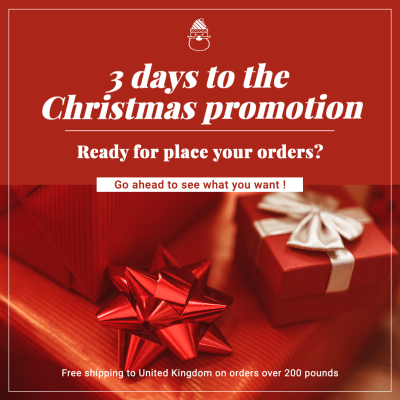 Christmas Gifts Flash Sale Promo Instagram Post