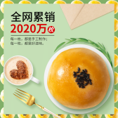 模板缩略图