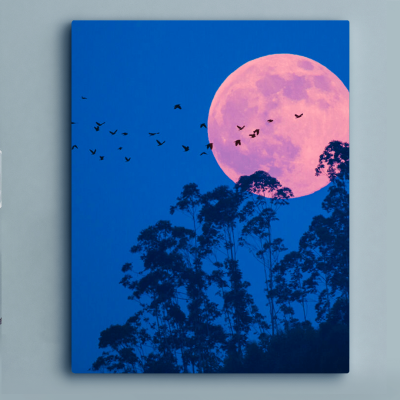 Minimalist Paint Forest Picture Instagram Post