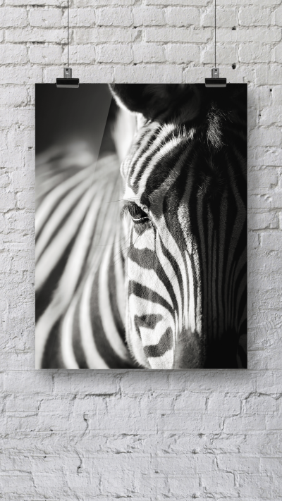 Simple Literary Zebra Photo Display Instagram Story