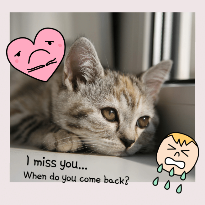 Cute Pet Mark Template预览效果