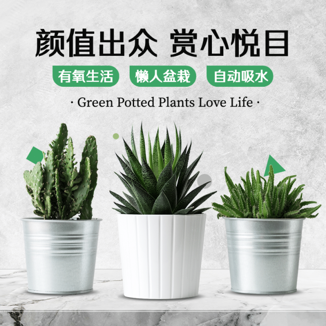 百货绿植盆栽直通车主图预览效果