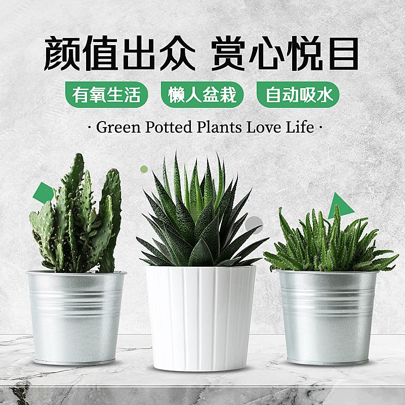 百货绿植盆栽直通车主图