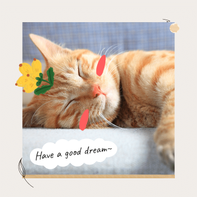 Cute Pet Mark Template