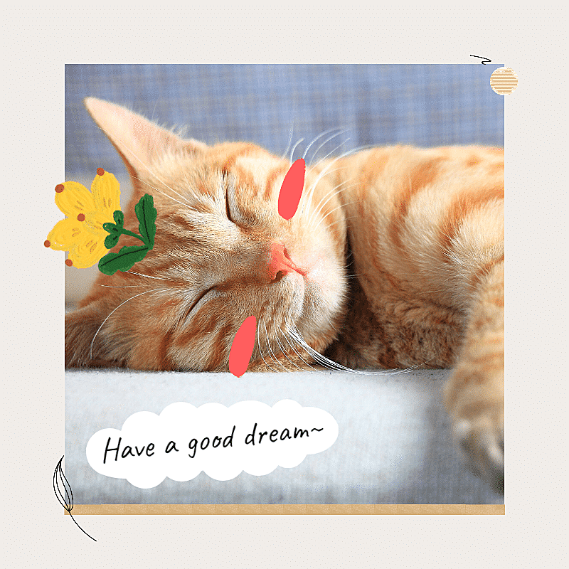 Cute Pet Mark Template