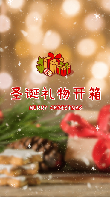 圣诞节礼物精选VLOG竖版视频封面预览效果