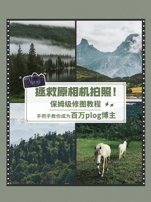 拍照摄影攻略分享小红书封面配图预览效果