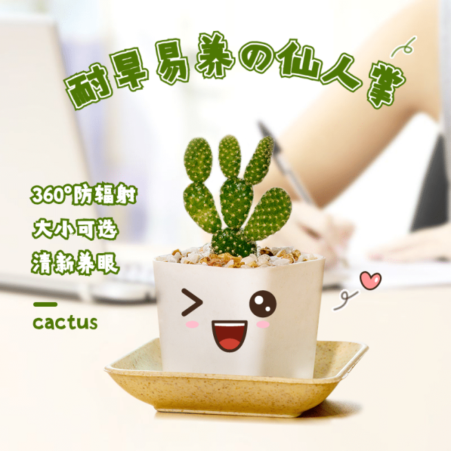 可爱百货绿植仙人掌直通车主图预览效果