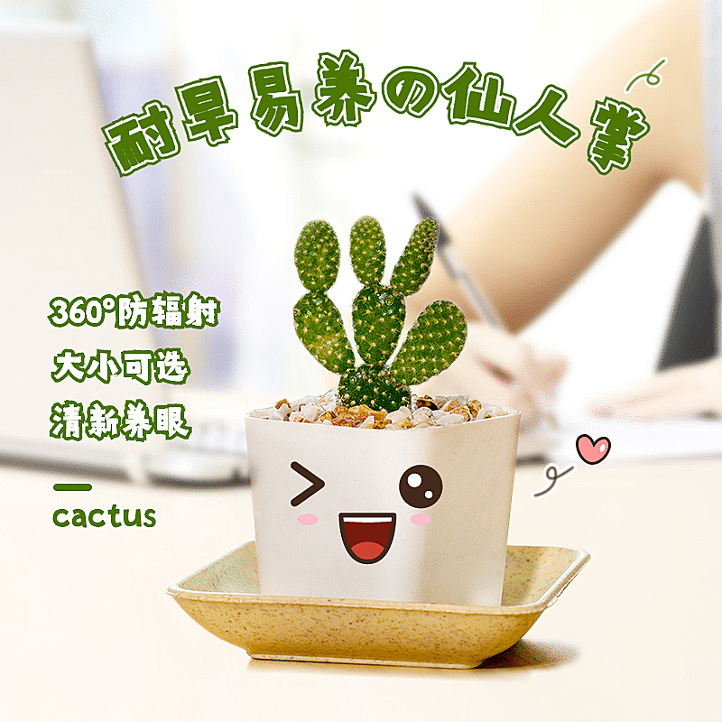 可爱百货绿植仙人掌直通车主图