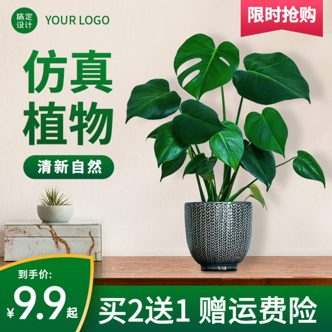 百货绿植盆栽直通车主图预览效果