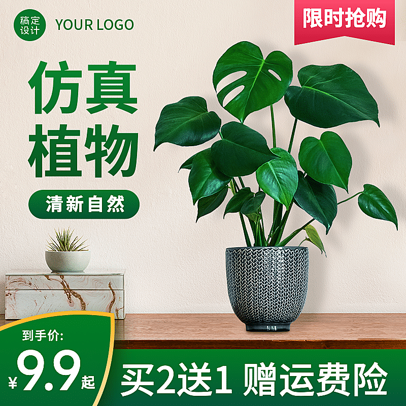 百货绿植盆栽直通车主图