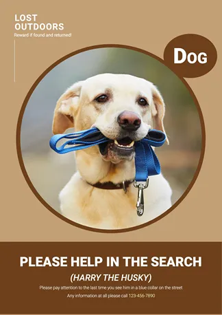 Pet Lost Looking Poster Simple Style Ecommerce Story