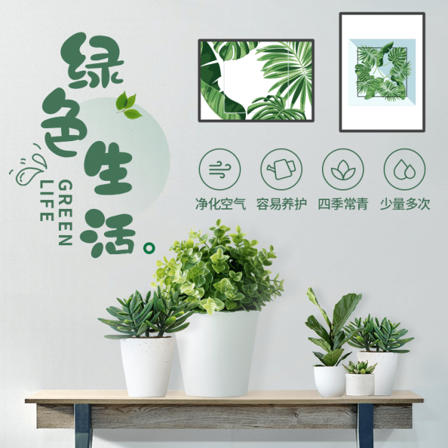 清新百货绿植直通车主图预览效果
