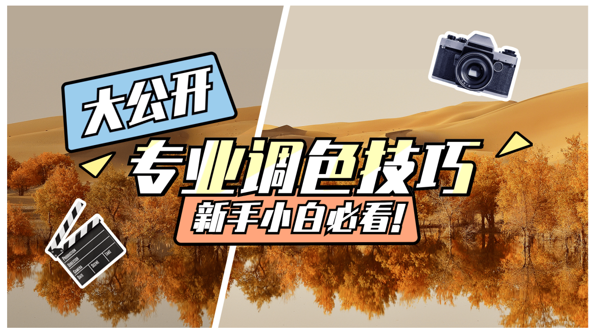 摄影教程知识分享横版视频封面生活娱乐预览效果