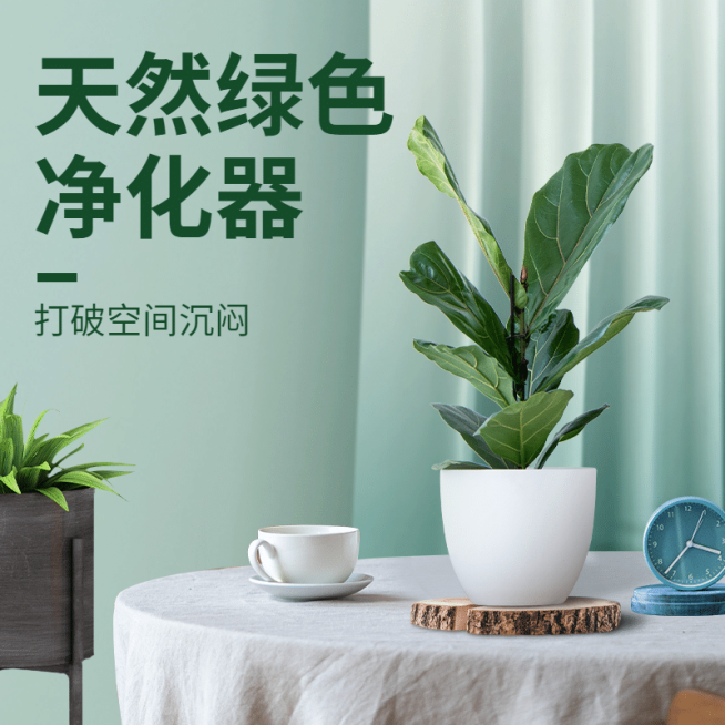 清新简约绿植直通车主图预览效果