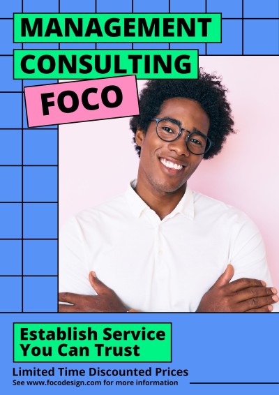 Management Consulting Service Introduction Propaganda Poster