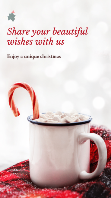 Literary Candy Christmas Wishes Promotion Ecommerce Story预览效果