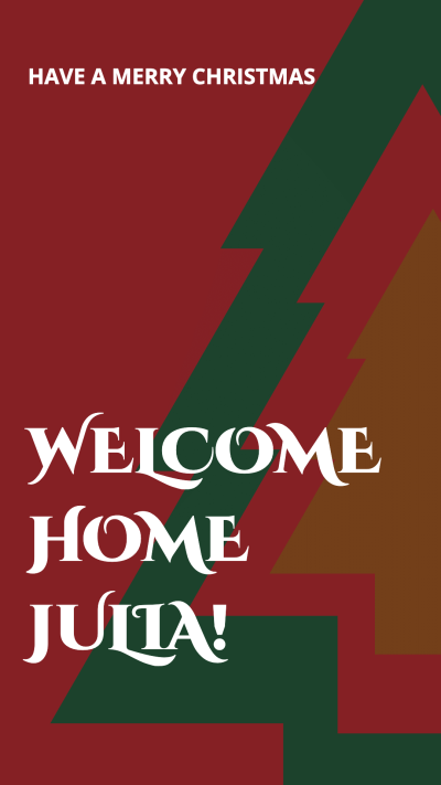 Christmas Welcome Home Instagram Story Image