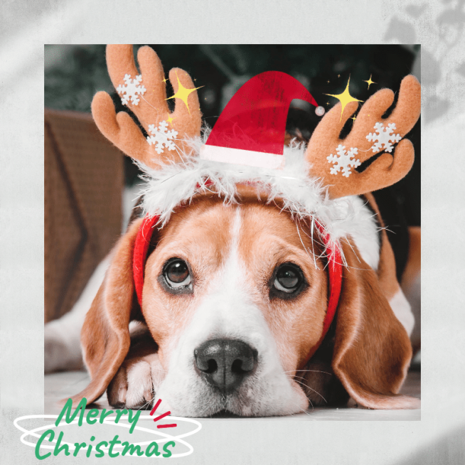 Christmas Mark Template预览效果