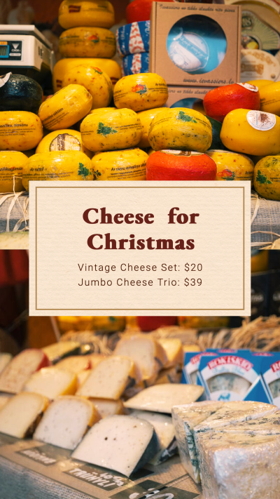 Simple Fashion Christmas Cheese Promo Instagram Story