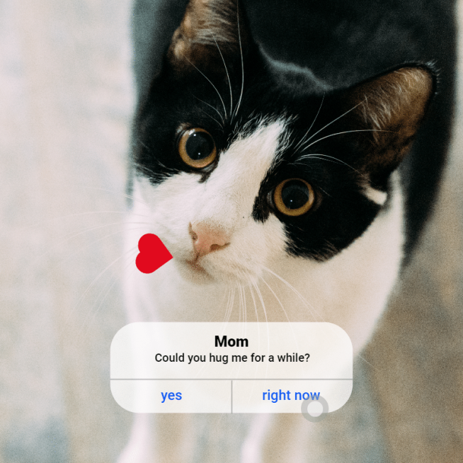 Cute Pet Mark Template预览效果