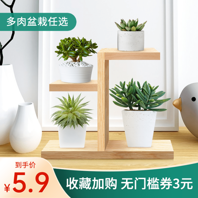 百货绿植盆栽直通车主图预览效果