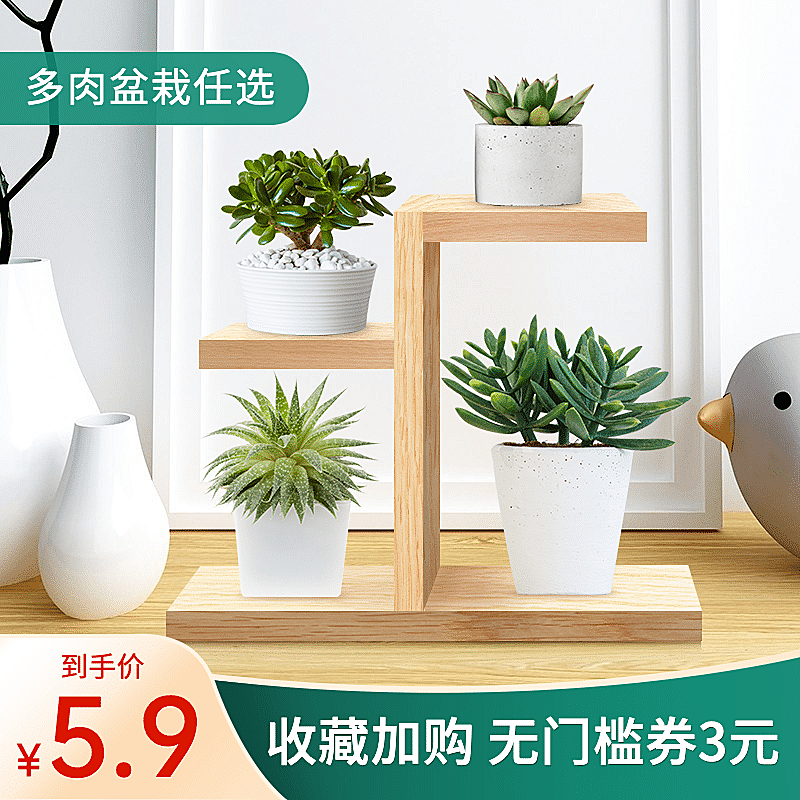 百货绿植盆栽直通车主图