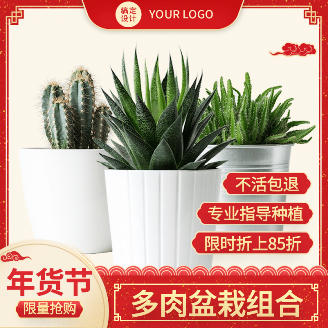 年货节百货绿植盆栽直通车主图预览效果