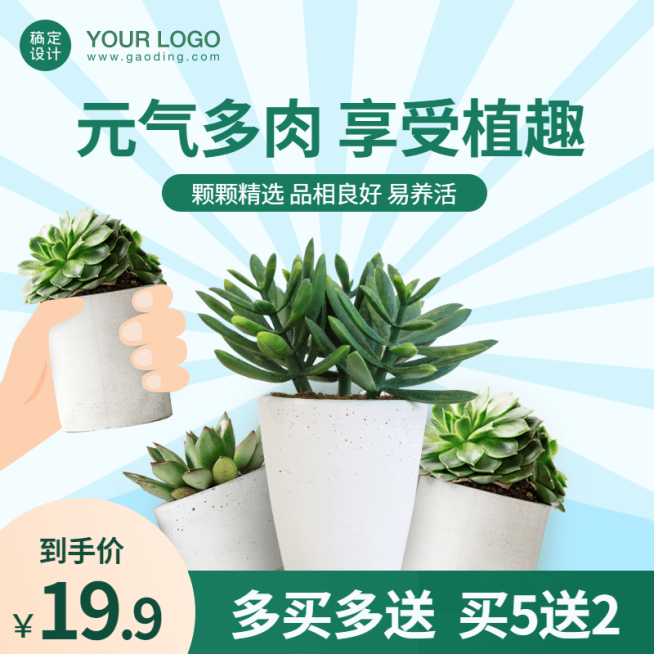 百货绿植盆栽直通车主图预览效果
