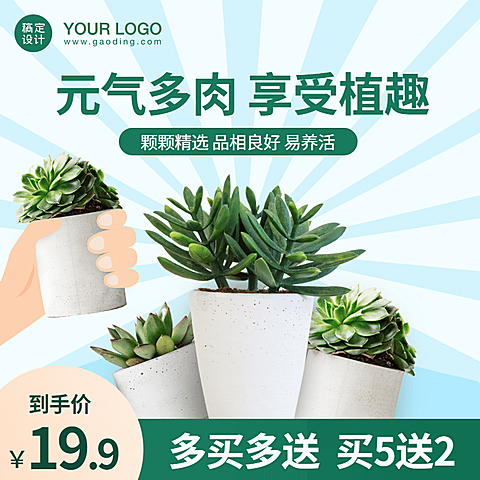 百货绿植盆栽直通车主图