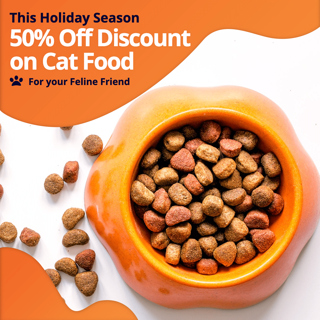 Pet Cat Food New Year Holiday Promotion Ecommerce Product Image