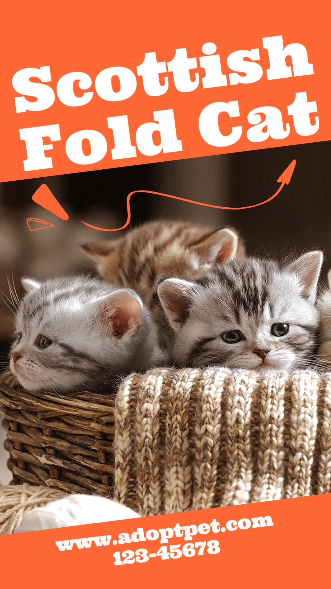 Pets Photo Products Promotion Template Poster Instagram Story