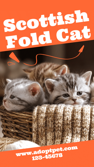 Pets Photo Products Promotion Template Poster Instagram Story