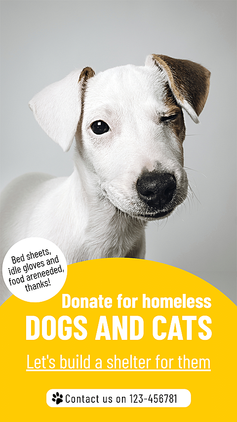 Literary Animal Shelter Donation Propaganda Ecommerce Story