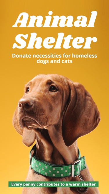 Simple Animal Shelter Donation Propaganda Ecommerce Story