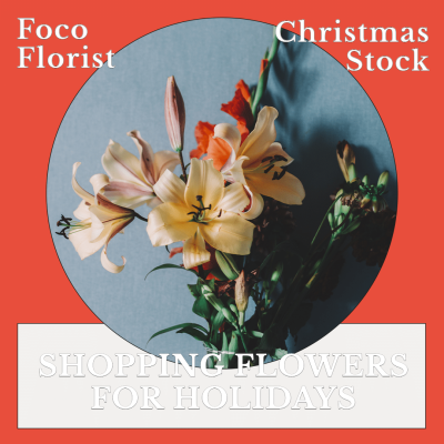 Christmas Stock Flowers Holidays Ecommerce Product Image