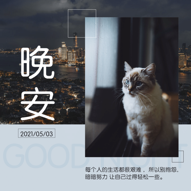 方形晚安日签正能量萌宠晒图预览效果