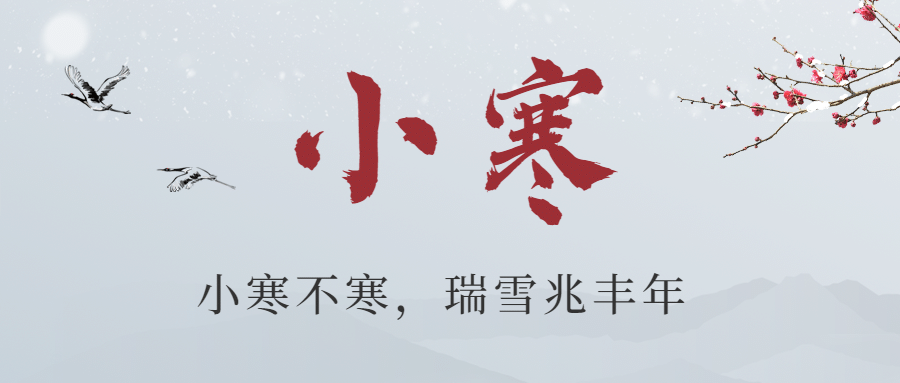 小寒节气祝福梅花中国风公众号首图