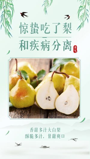 惊蛰吃梨产品展示燕子柳叶清新