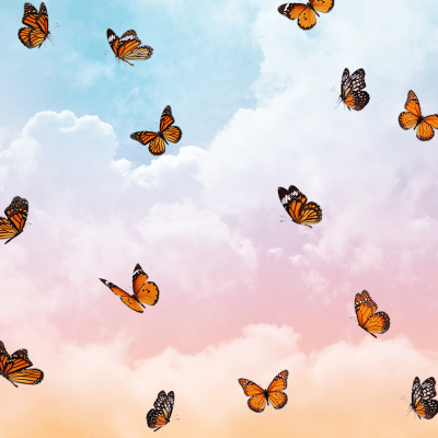 Literary Style Colorful Cloud Funny Matting Butterflies Template Instagram Post