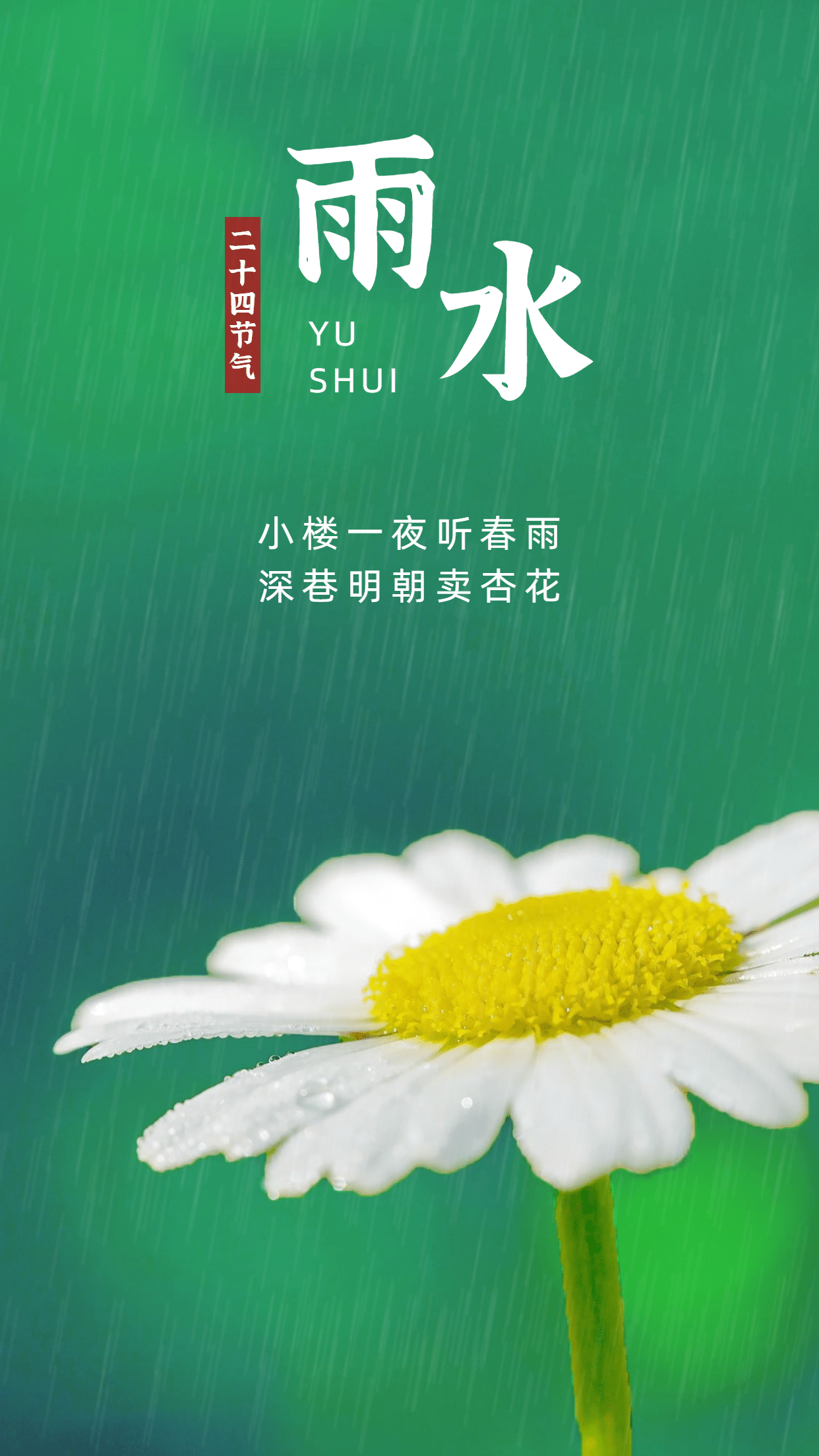雨水节气祝福实景花朵下雨清新文艺预览效果