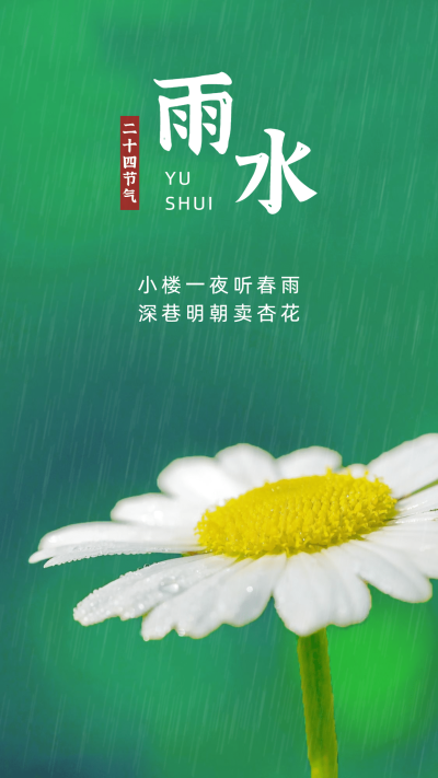 雨水节气祝福实景花朵下雨清新文艺