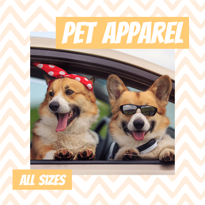 Pet Apparel Promotion Template Fashion Simple Style Poster Ecommerce Product预览效果