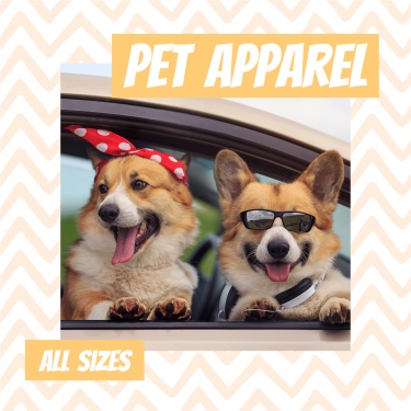 Pet Apparel Promotion Template Fashion Simple Style Poster Ecommerce Product