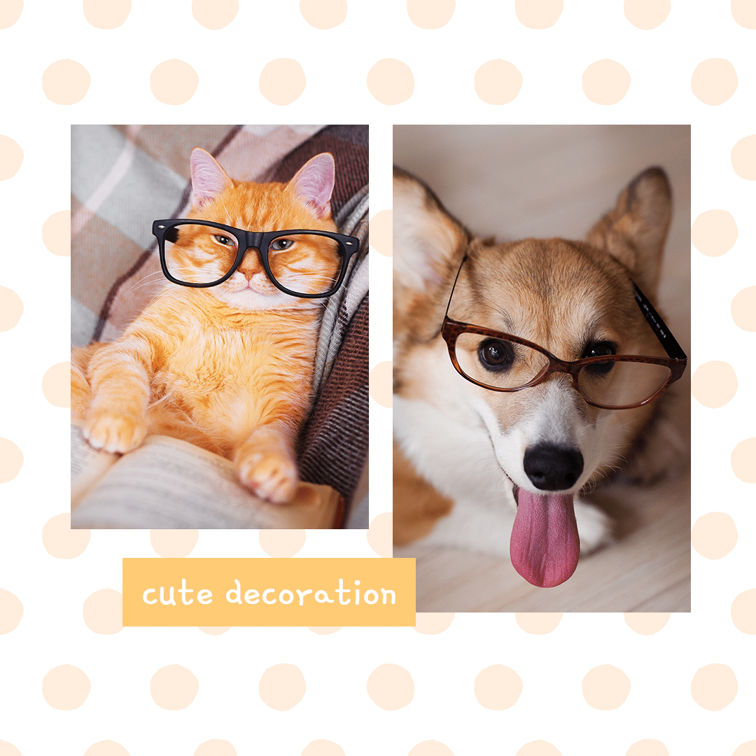 Pet Cute Decoration Ecommerce Product Image预览效果